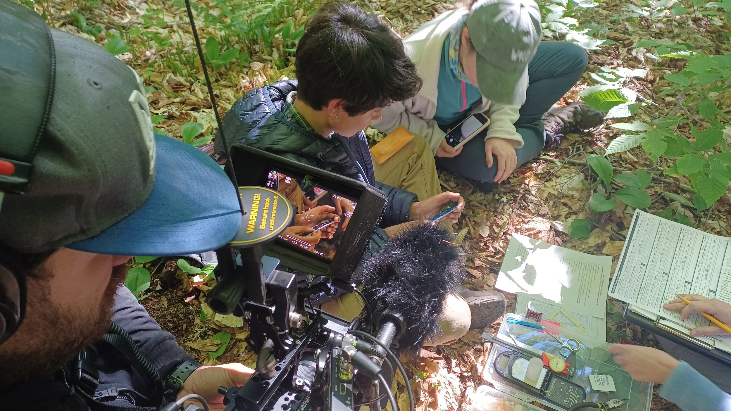 A group of people are conducting a nature study or research in a forest, using cameras, notebooks, and leaf samples, with one person operating a camera and others taking notes and examining leaves.
