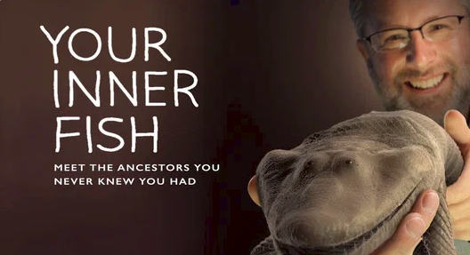 Cover of a book titled 'Your Inner Fish: Meet the Ancestors You Never Knew You Had' featuring a smiling man holding a realistic, friendly-looking fish.