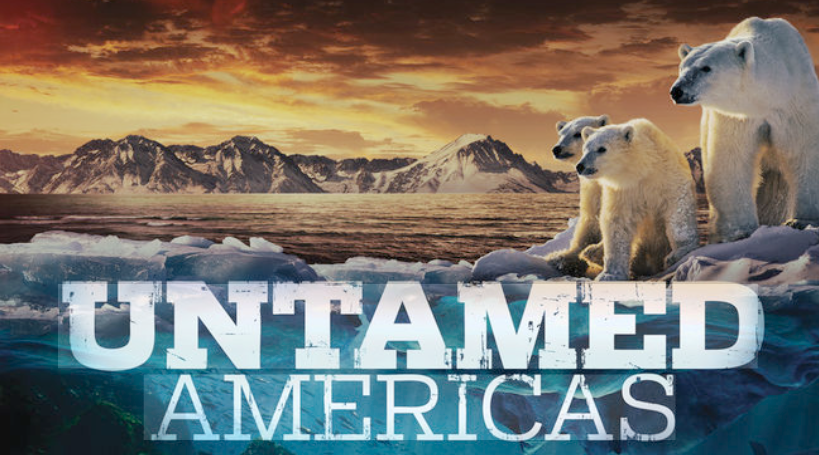 A group of polar bears standing on ice in front of a sunset over mountains and water with icy terrain, and the text 'Untamed Americas' in bold letters.