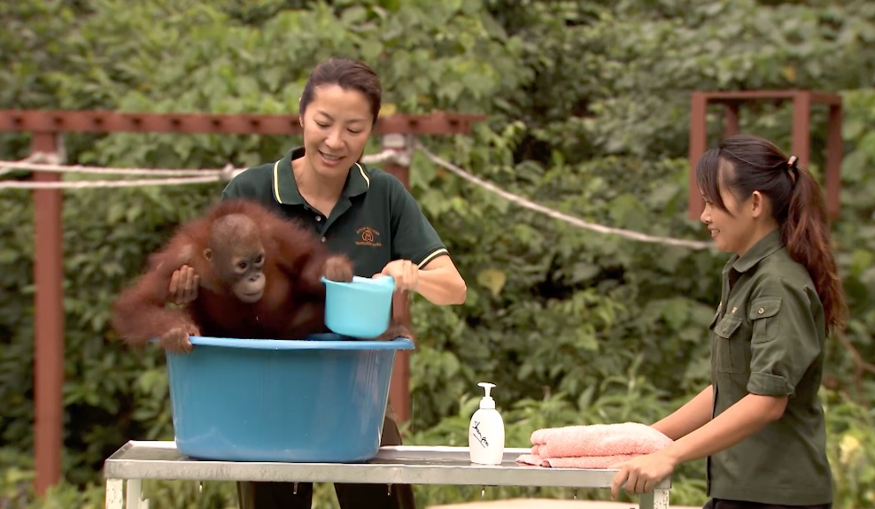 A woman is holding a young orangutan in a blue tub, pouring water from a smaller container, while another woman looks on, smiling, at an outdoor setting with greenery and a wooden fence.