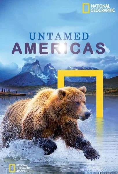 Cover of a National Geographic documentary titled "Untamed Americas" showing a bear wading in a lake with mountains in the background and the National Geographic logo.