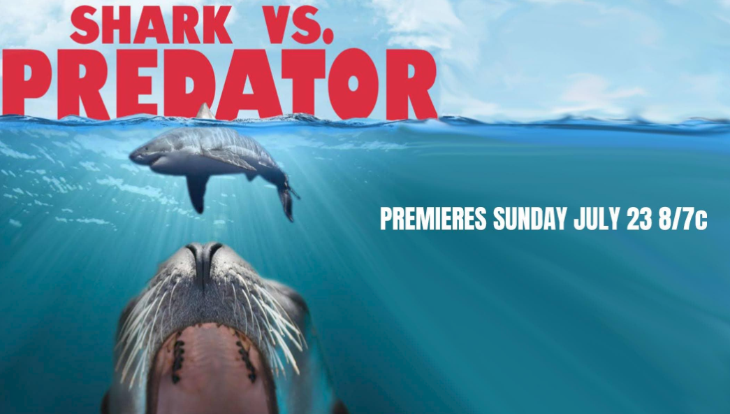Promotional poster for a TV show titled 'Shark vs. Predator' featuring a shark underwater with its mouth open and a smaller fish swimming above, and text indicating the premiere date as Sunday, July 23 at 8/7c.
