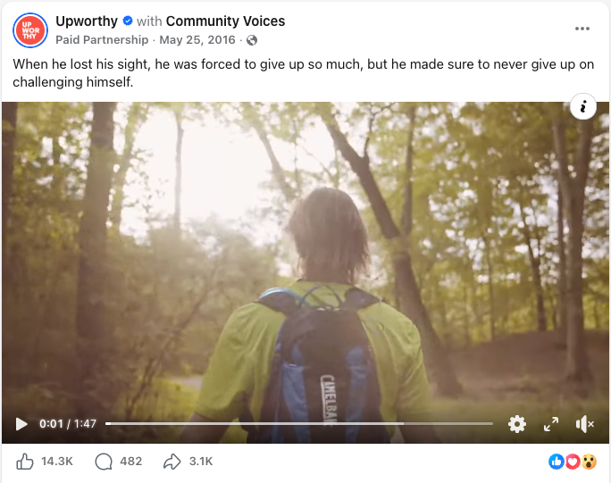 Back view of a person with a backpack walking through a wooded forest during daylight.