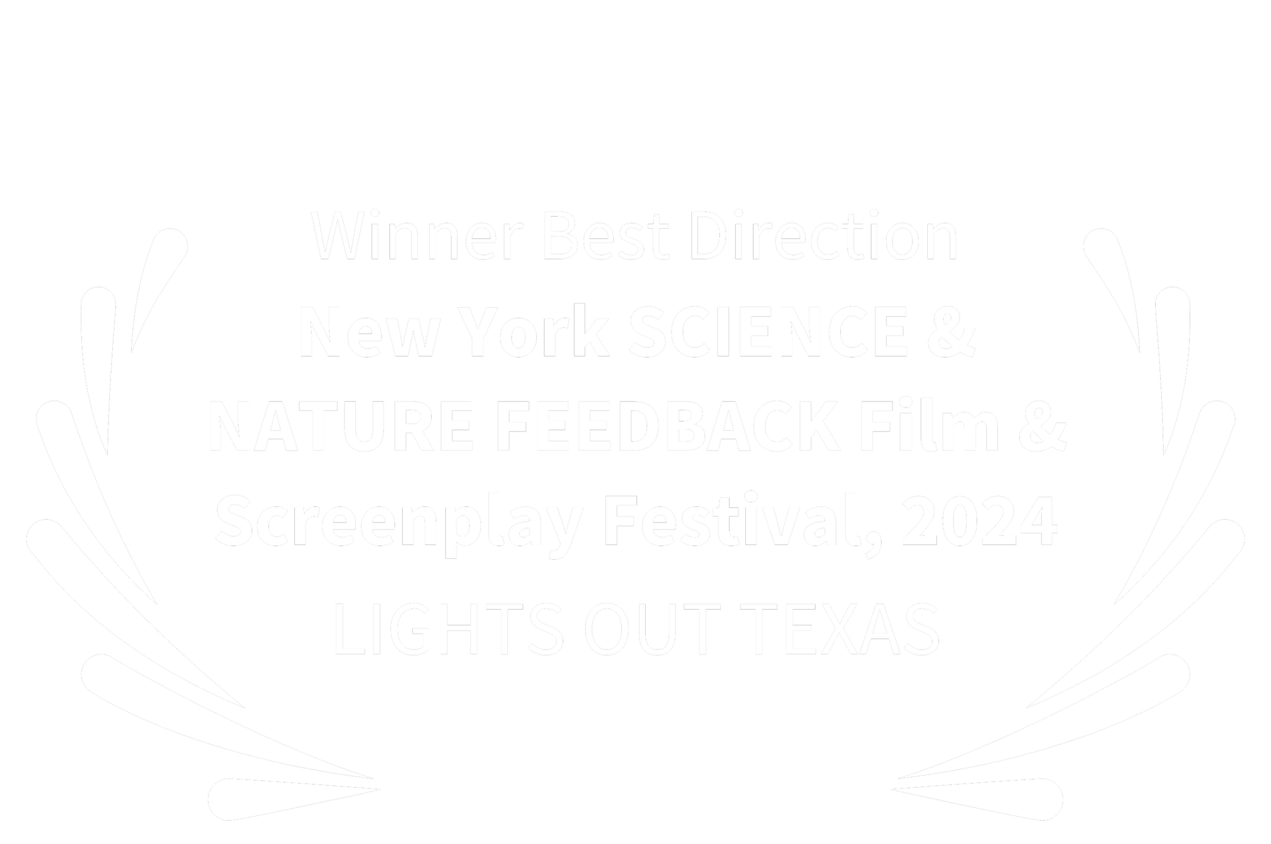 Award announcement for the Best Direction at the Lights Out Texas Screenplay Festival 2024, awarded to New York Science & Nature Feedback Film.
