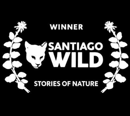 Black background with white text and graphics, featuring a panther's face, two laurel branches, and the words "Winner Santiago Wild" and "Stories of Nature."