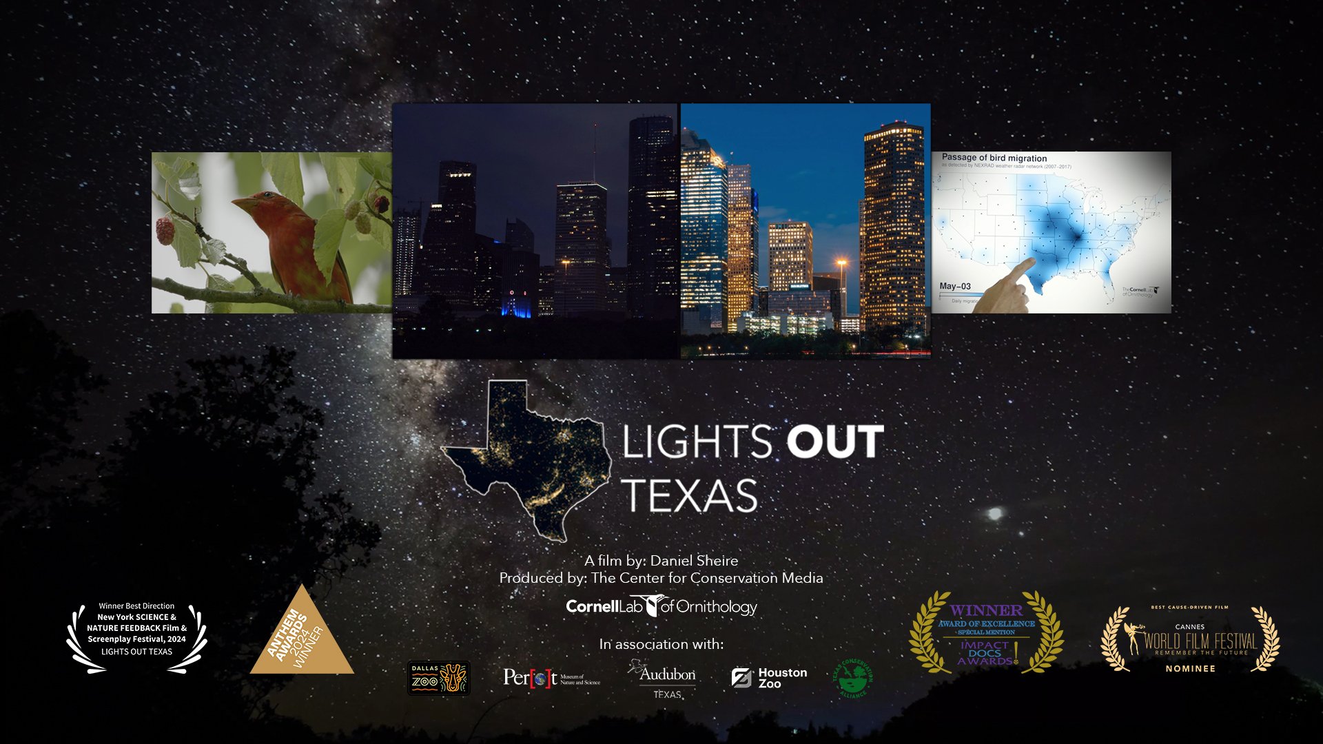 Poster for the documentary film "Lights Out Texas" showing a starry night sky, a map of Texas with city lights, and images of a bird, city skylines at night, and a chart about bird migration, with awards and sponsors displayed at the bottom.