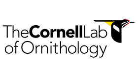 Logo of The Cornell Lab of Ornithology with a stylized bird illustration