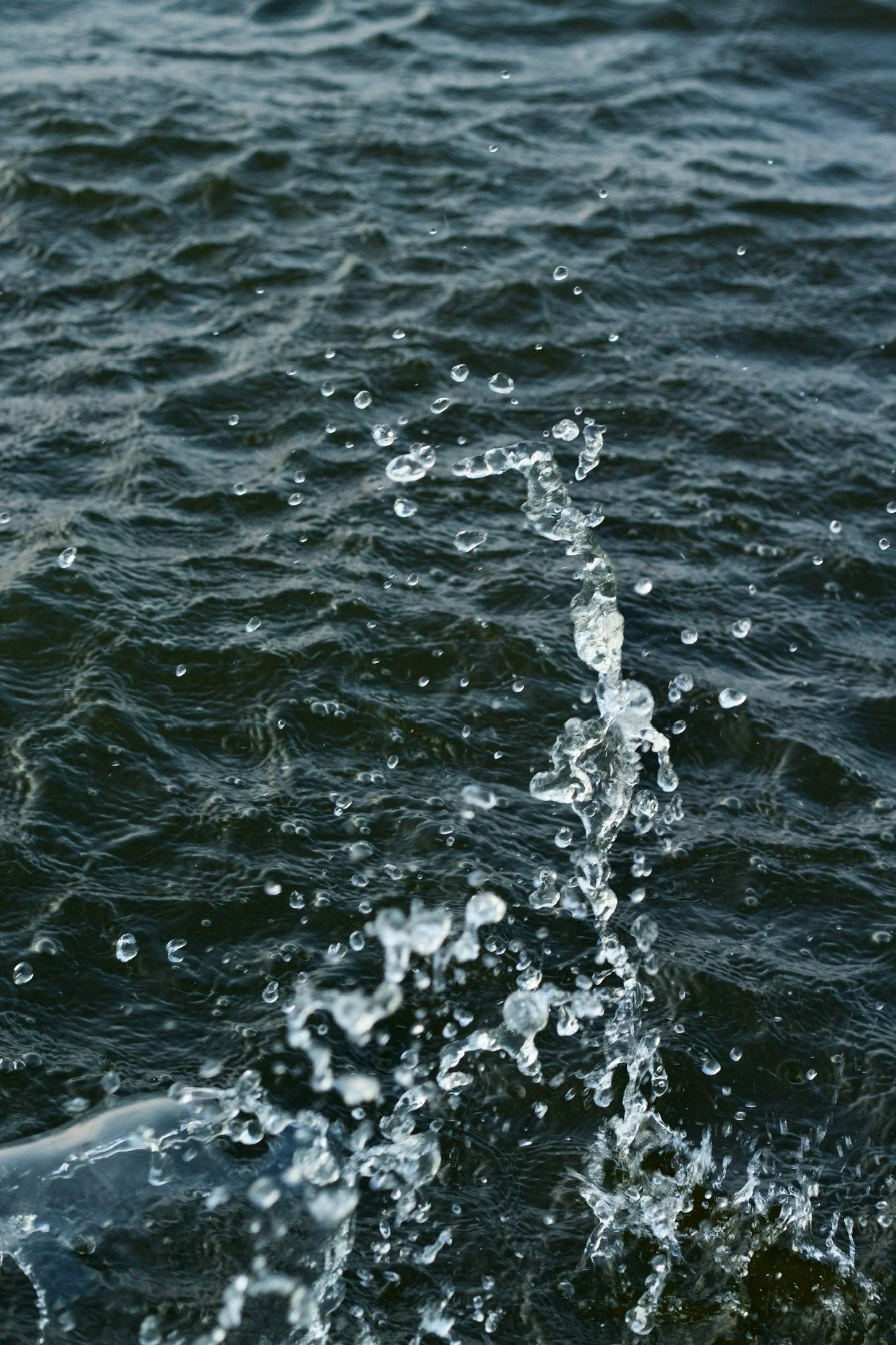 Mother Water