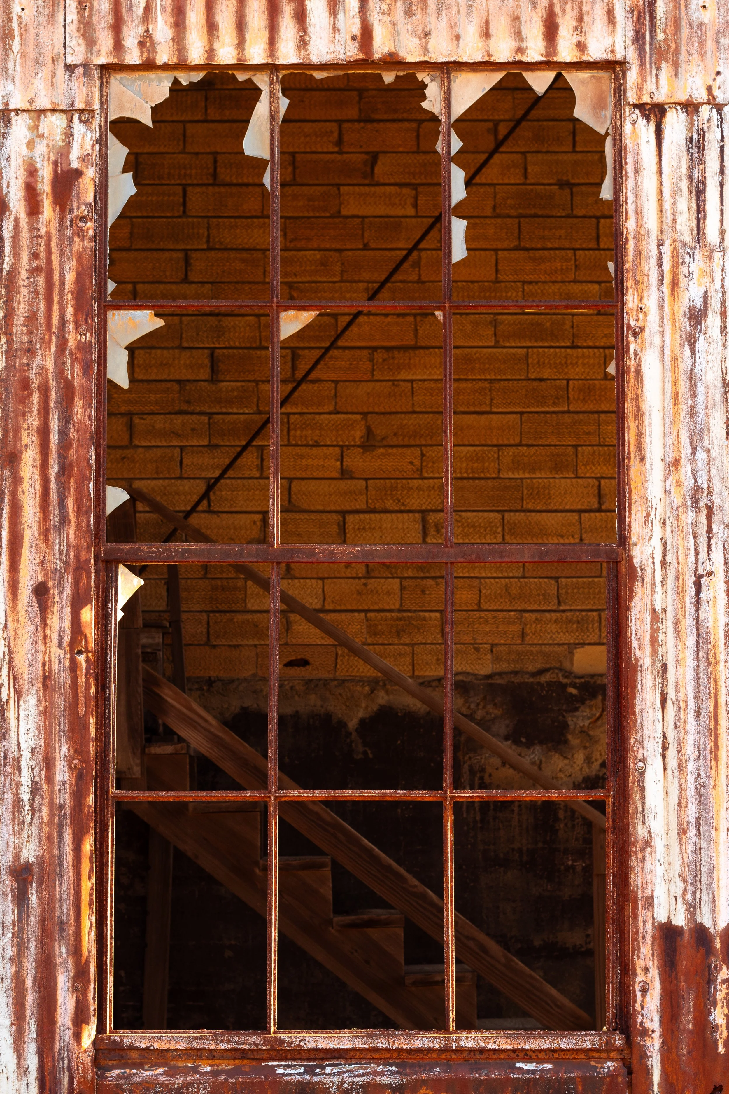 IMG_5251-3.jpg