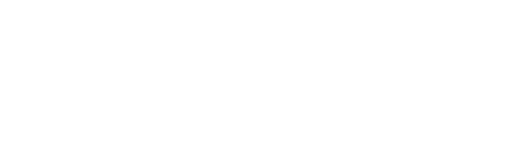 BLUUME HAIR CO.