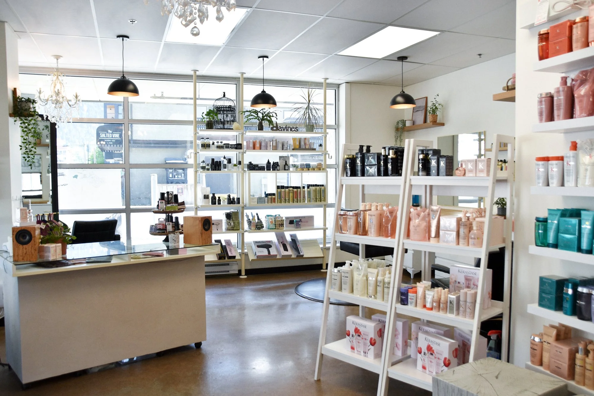 Interior of a retail store with shelves of hair and skincare products, decorative plants, a chandelier, and large front windows letting in daylight.