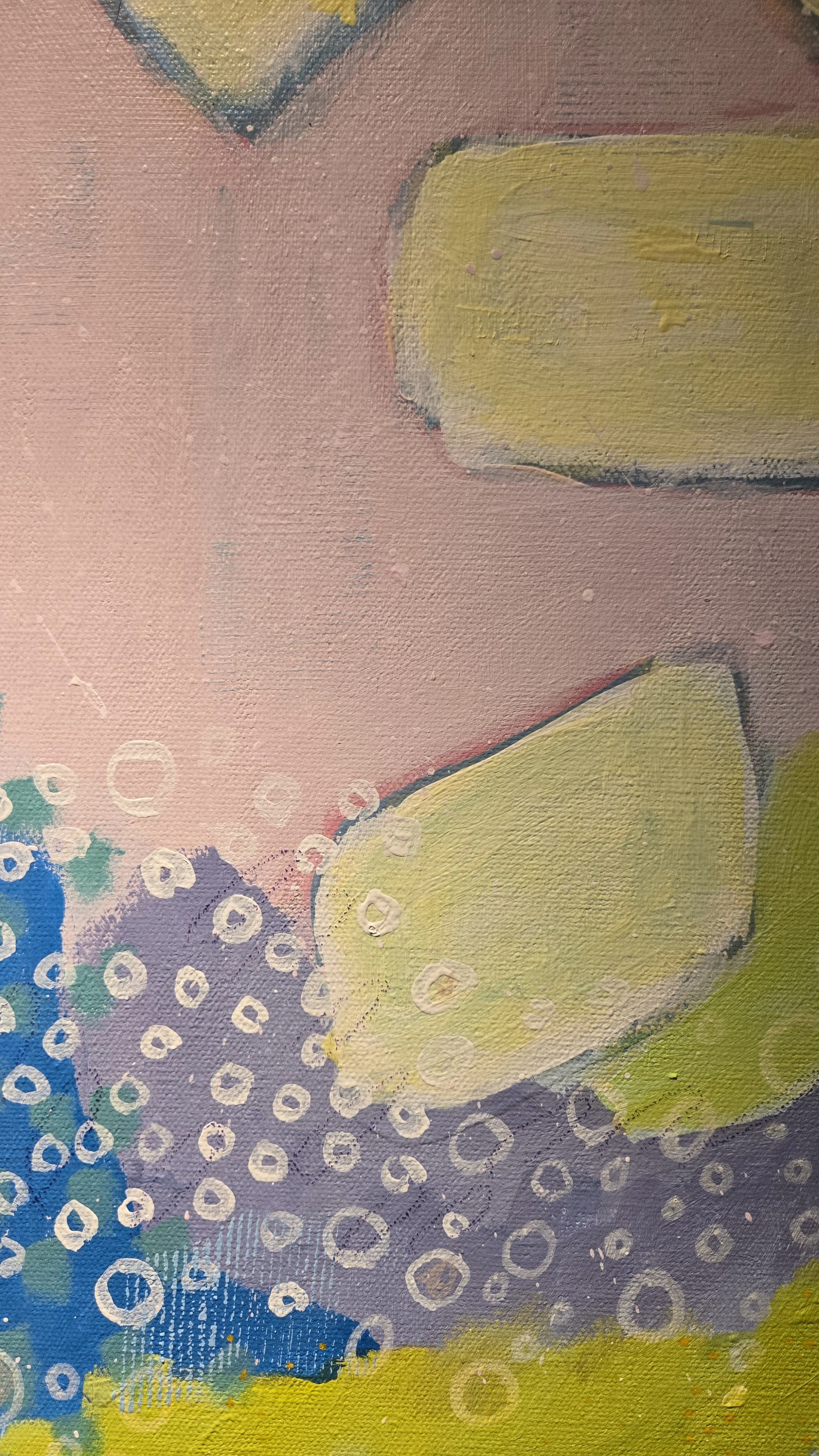 9 Jubilant Fields Detail 4.jpg