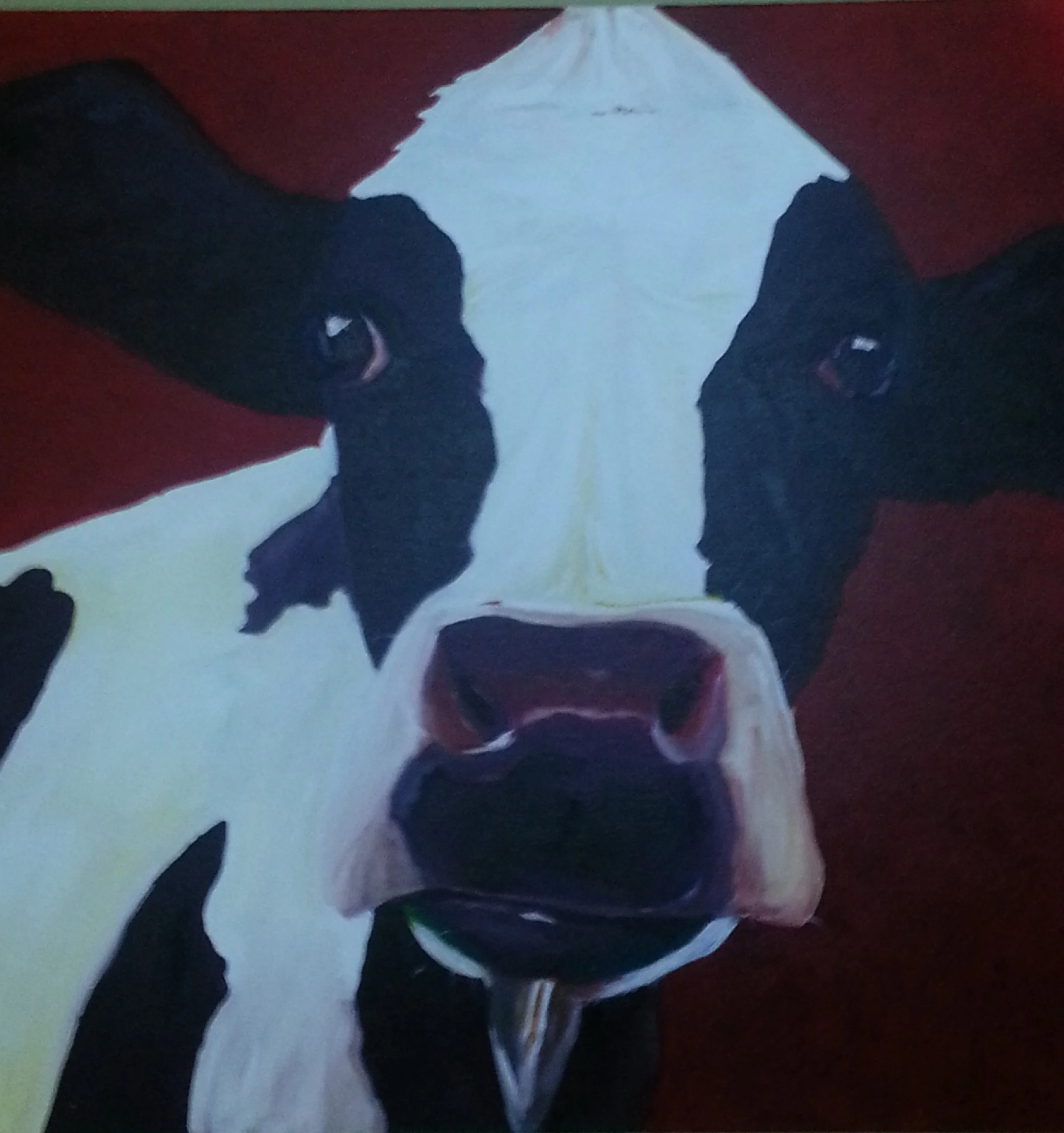 1 Kitchen Cow Main.jpg