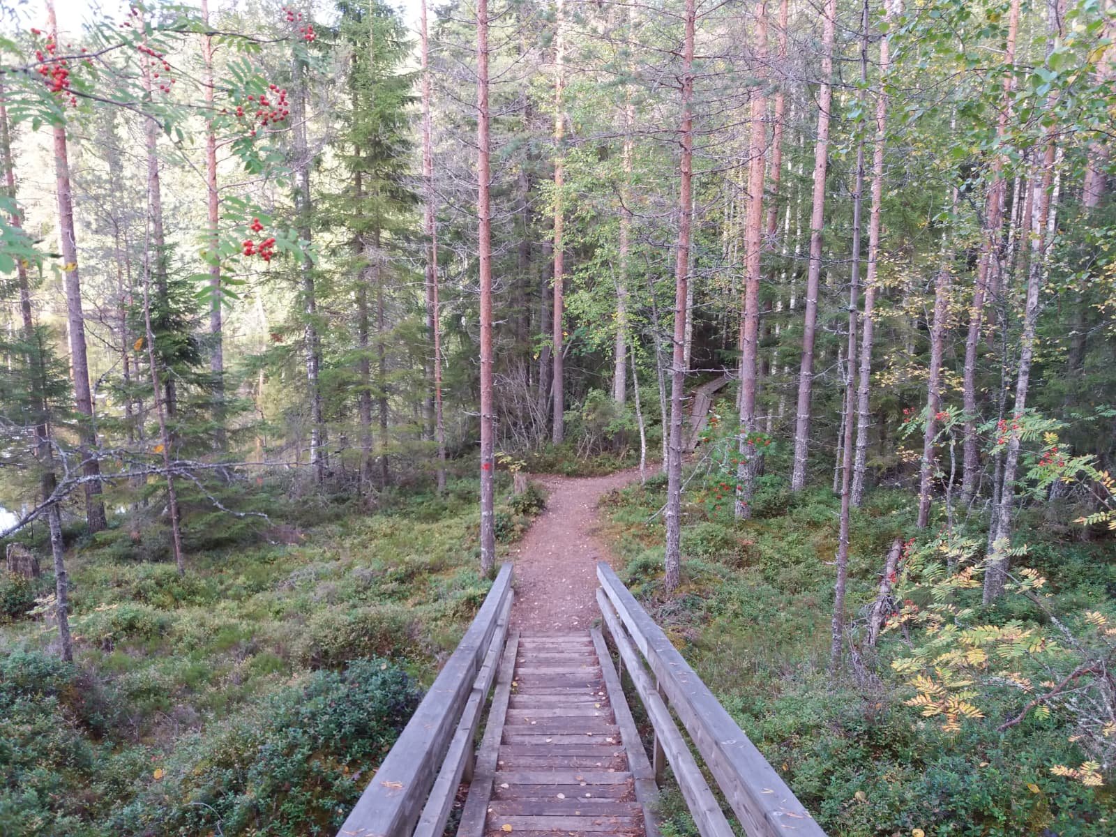 bridge in Finland