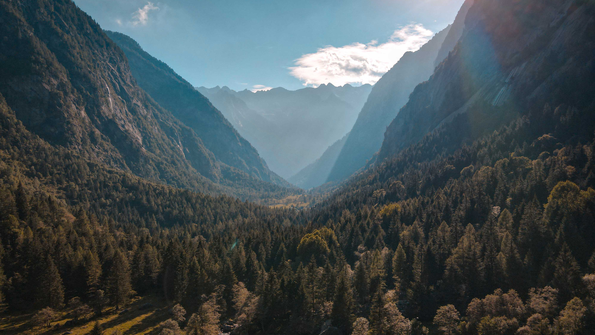 Sunlight shining through a valley with tall mountains on either side and a dense forest of evergreen trees.