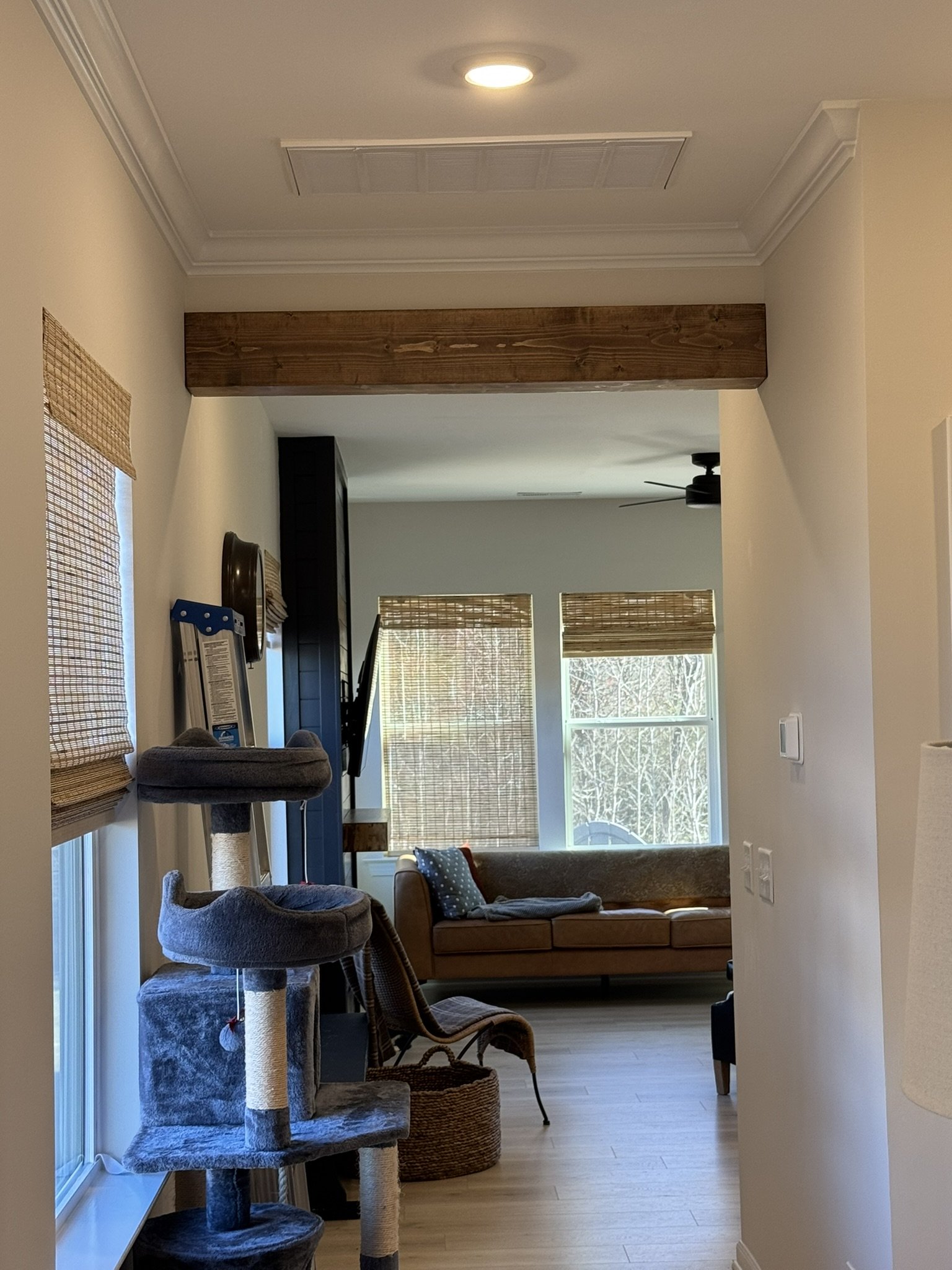 Living room with a cat tree near sliding glass doors, brown sofa with pillows, window blinds, and a ceiling fan in the background.