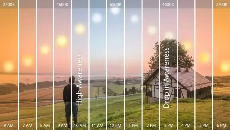 Lighting Design for West Michigan: Support Your Natural Rhythm