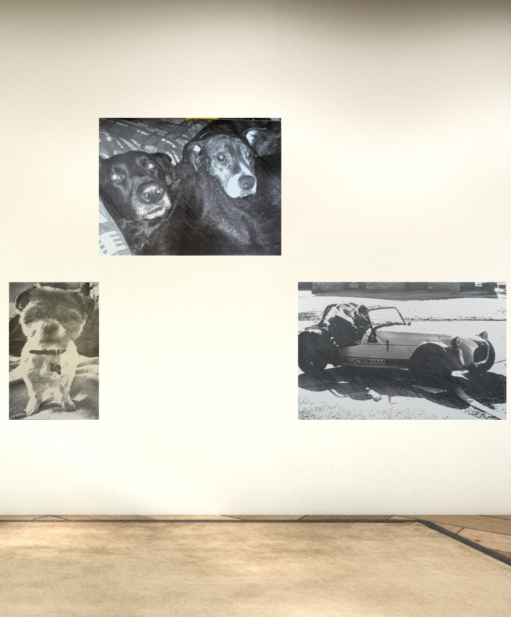 Photo of three dogs and a small race car. The dogs are in different pictures, with one in black and white and two in color. The race car is a miniature, open-top vehicle with the name "Caterham" on the side, parked on a street.