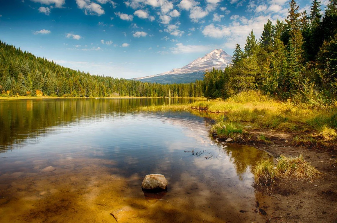 Mount Hood from Trillium Lake