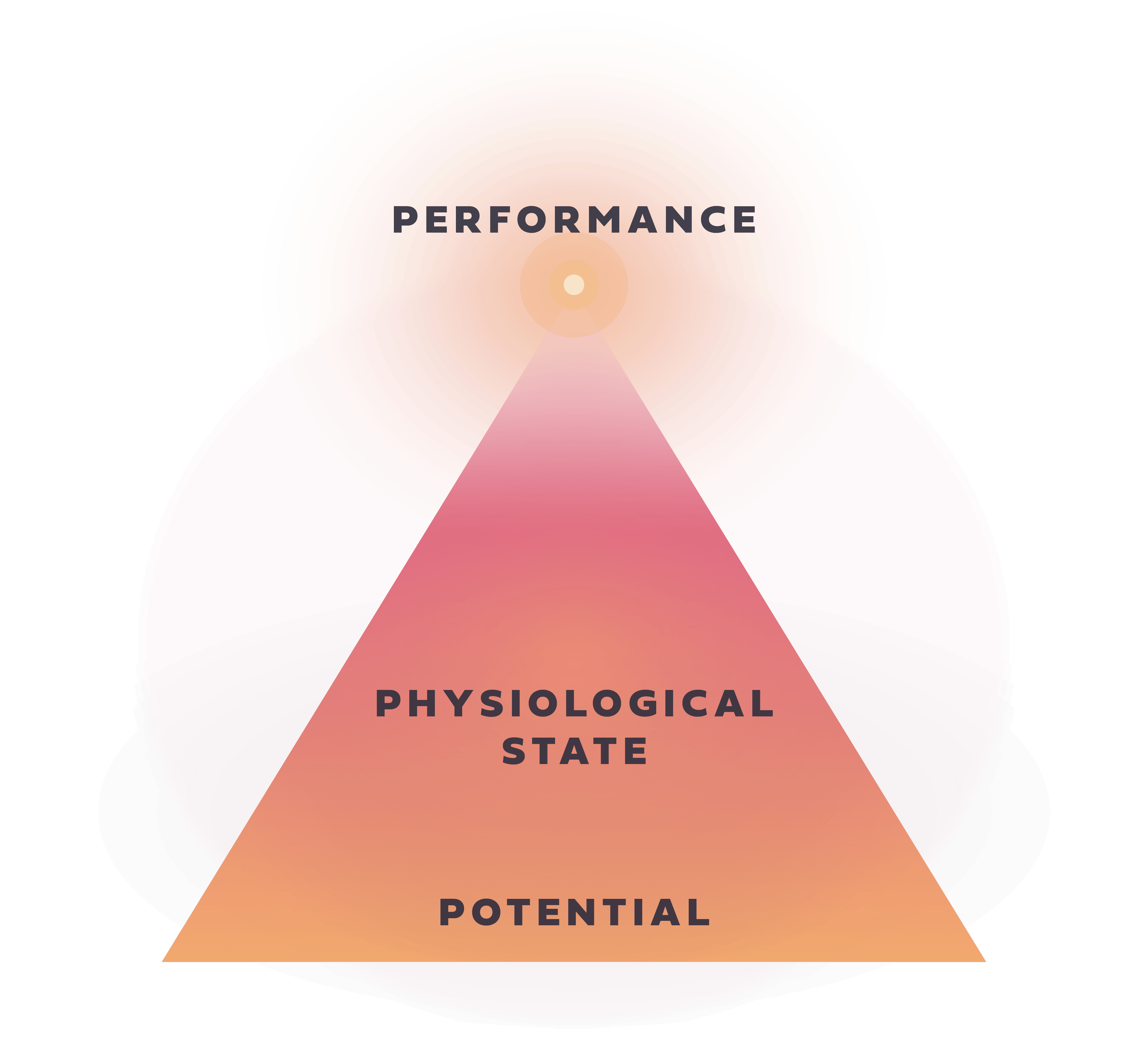 The Performance Code