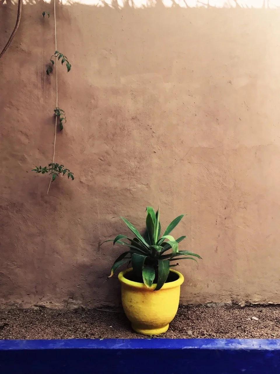 unnamed8 (1) Large.jpeg