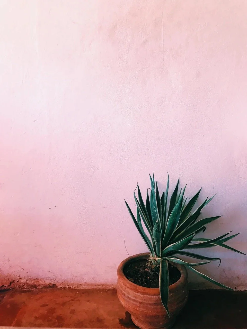 unnamed12 (1) Large.jpeg