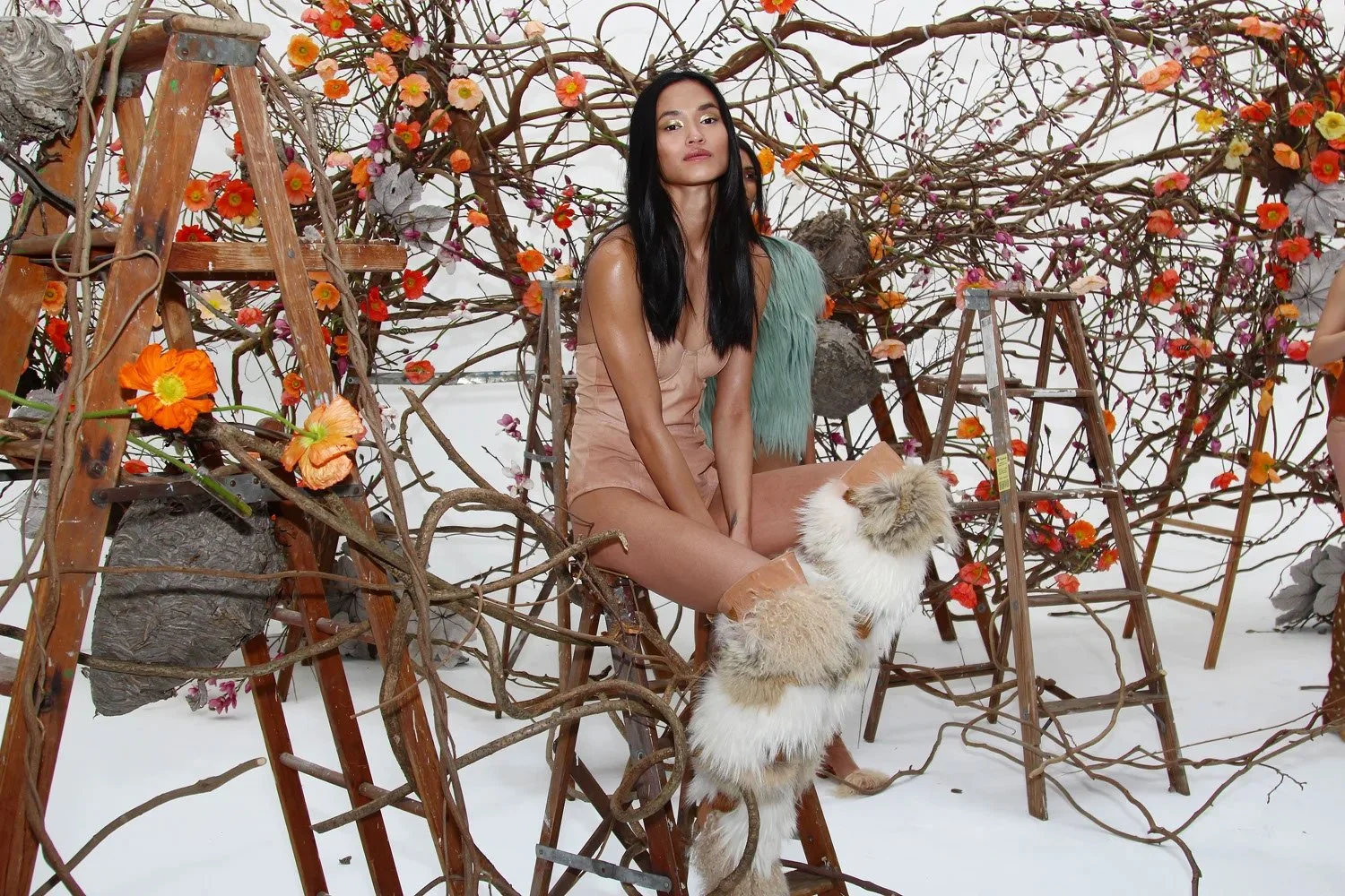 IMG_4972-copy (2).jpg