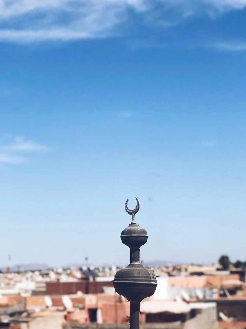 unnamed3 (3) Large.jpeg