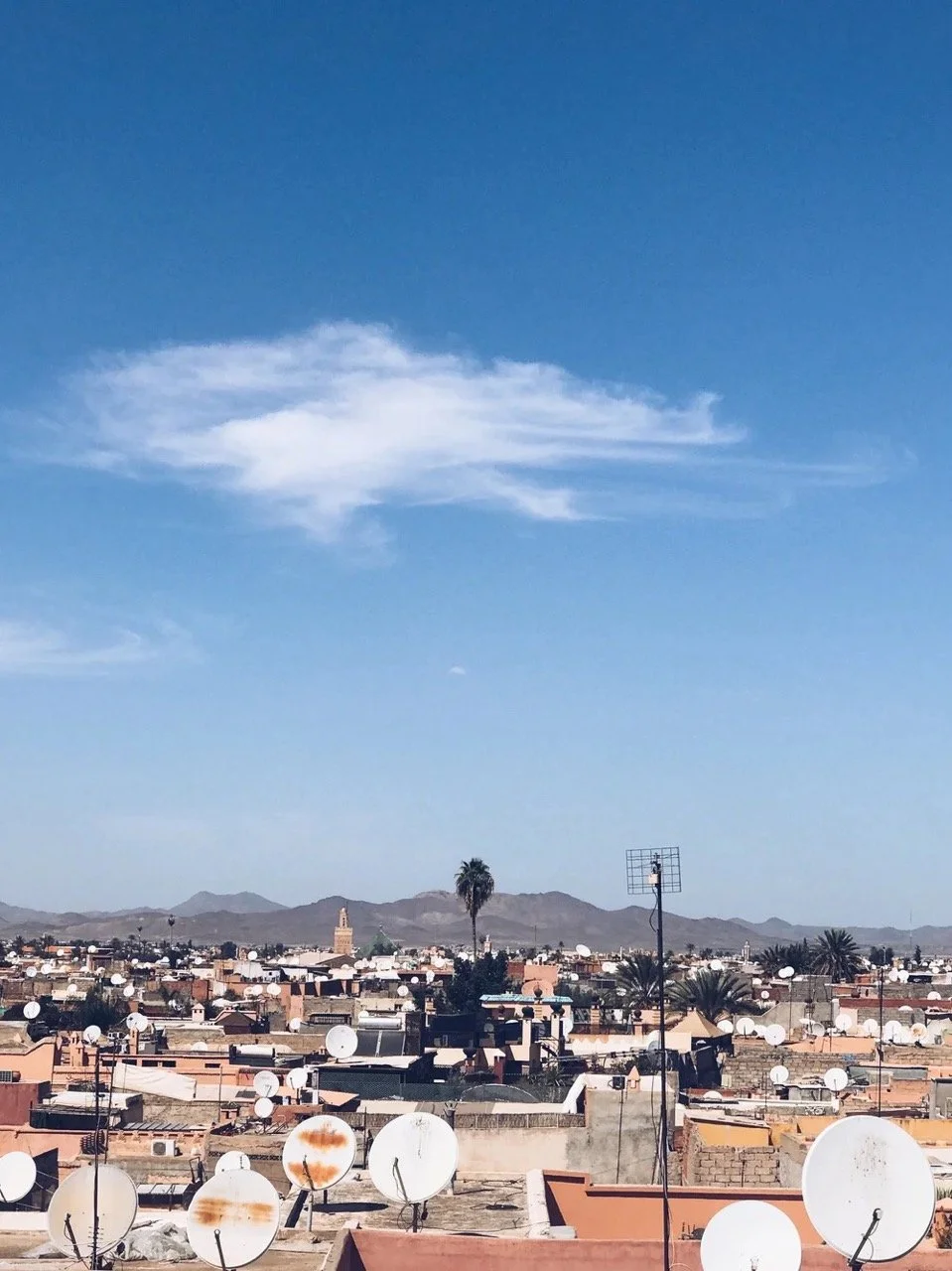 vsco-photo-5 (1) Large.jpeg