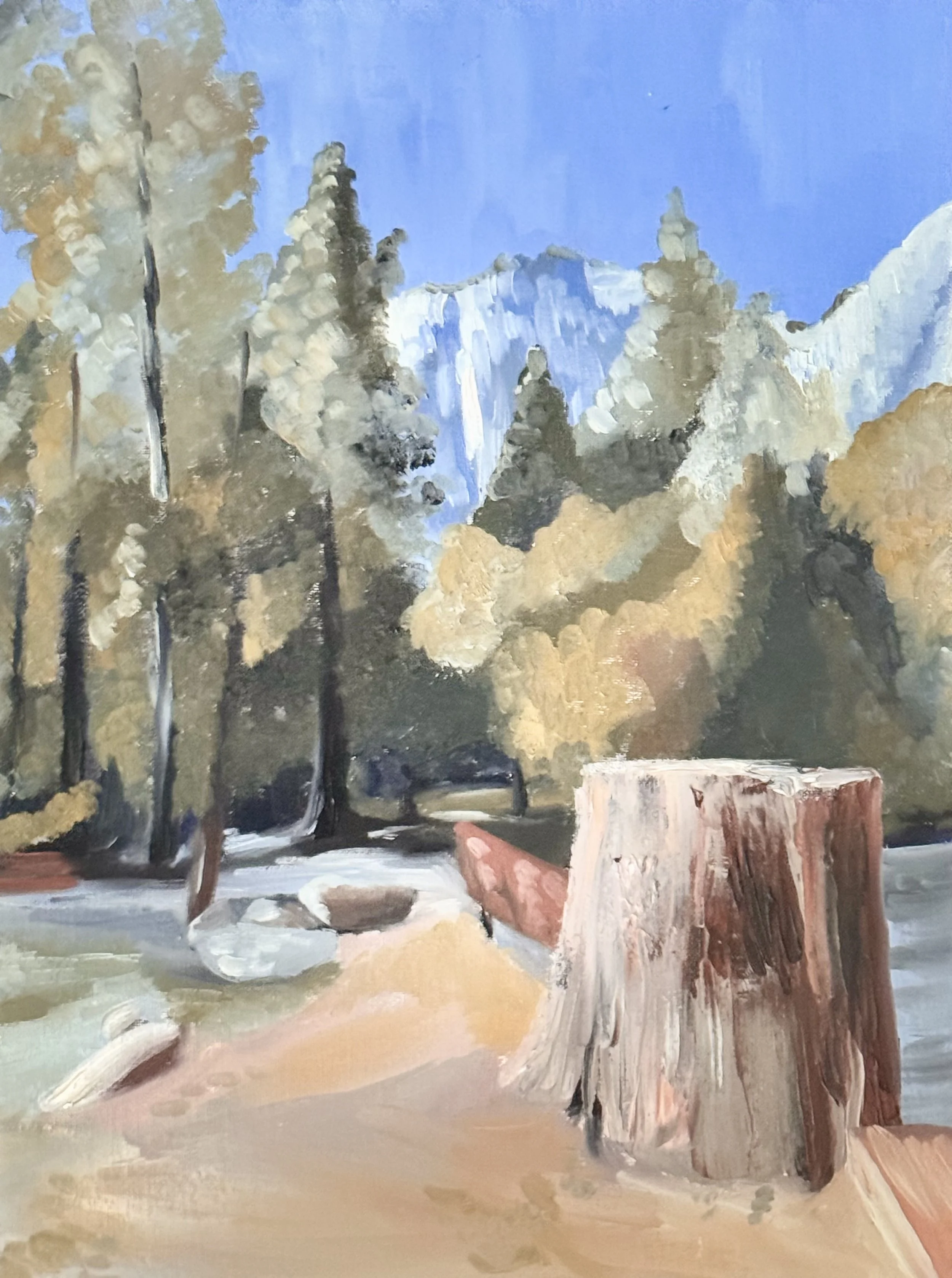Stump. Oil on Canvas 14"x16" $300