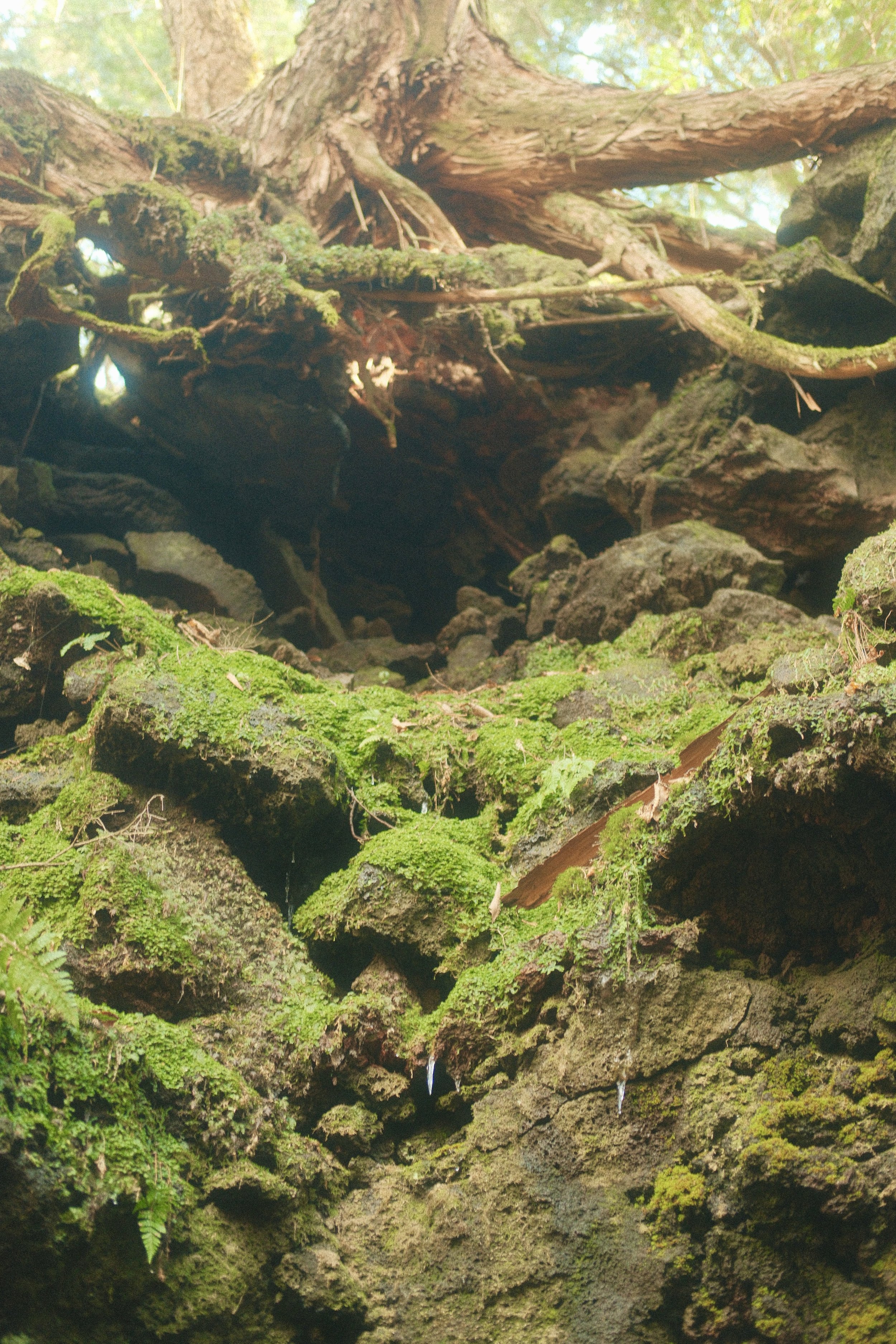 DSCF2653.JPG