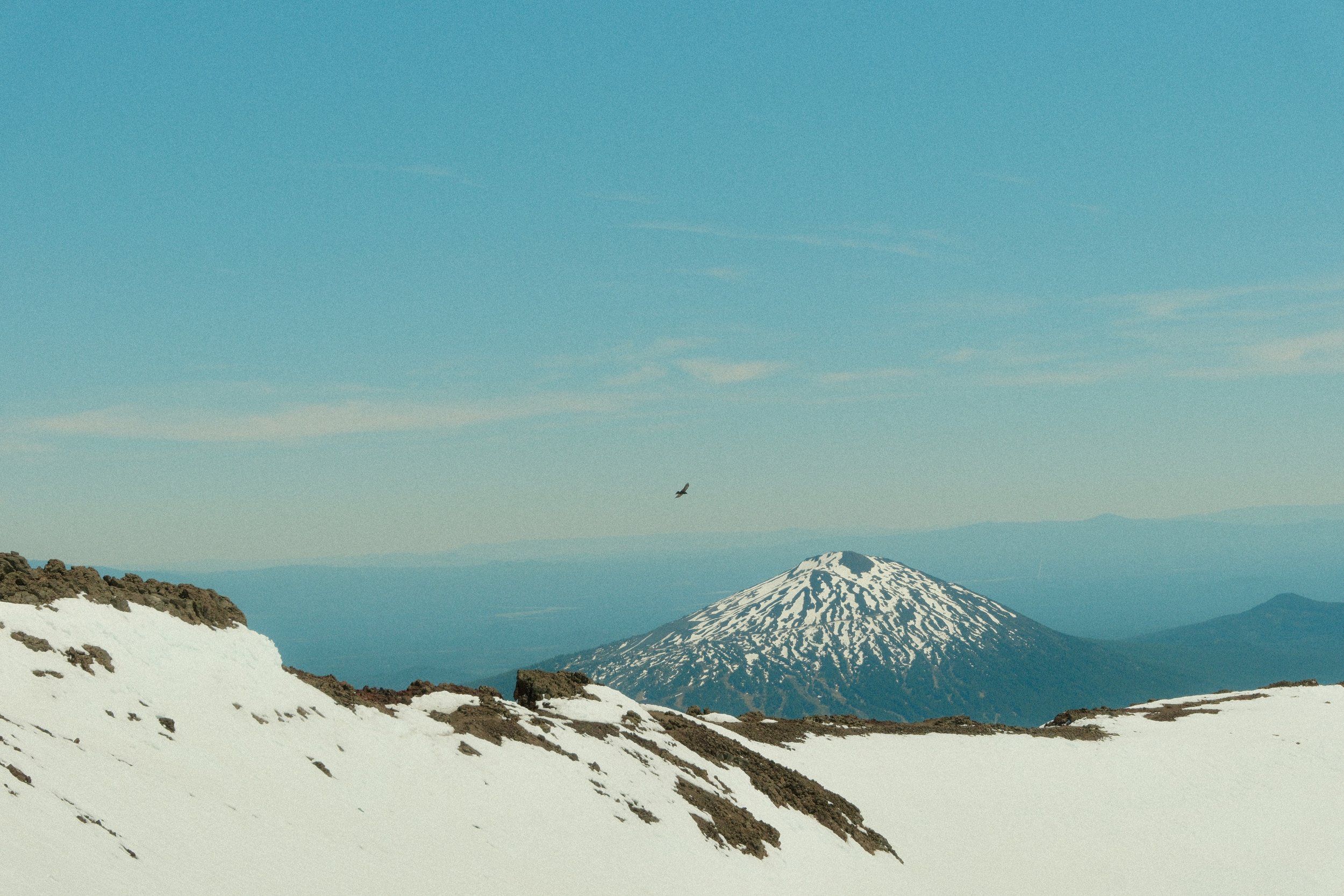 DSCF3982 2.JPG