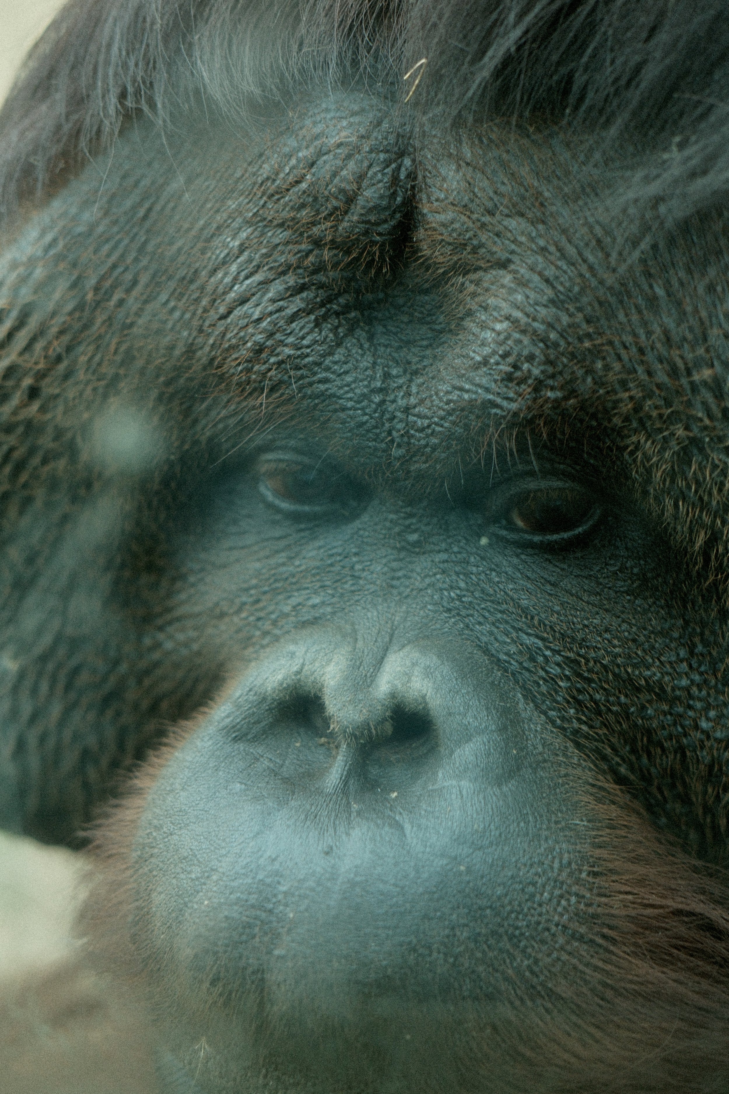DSCF2916.JPG