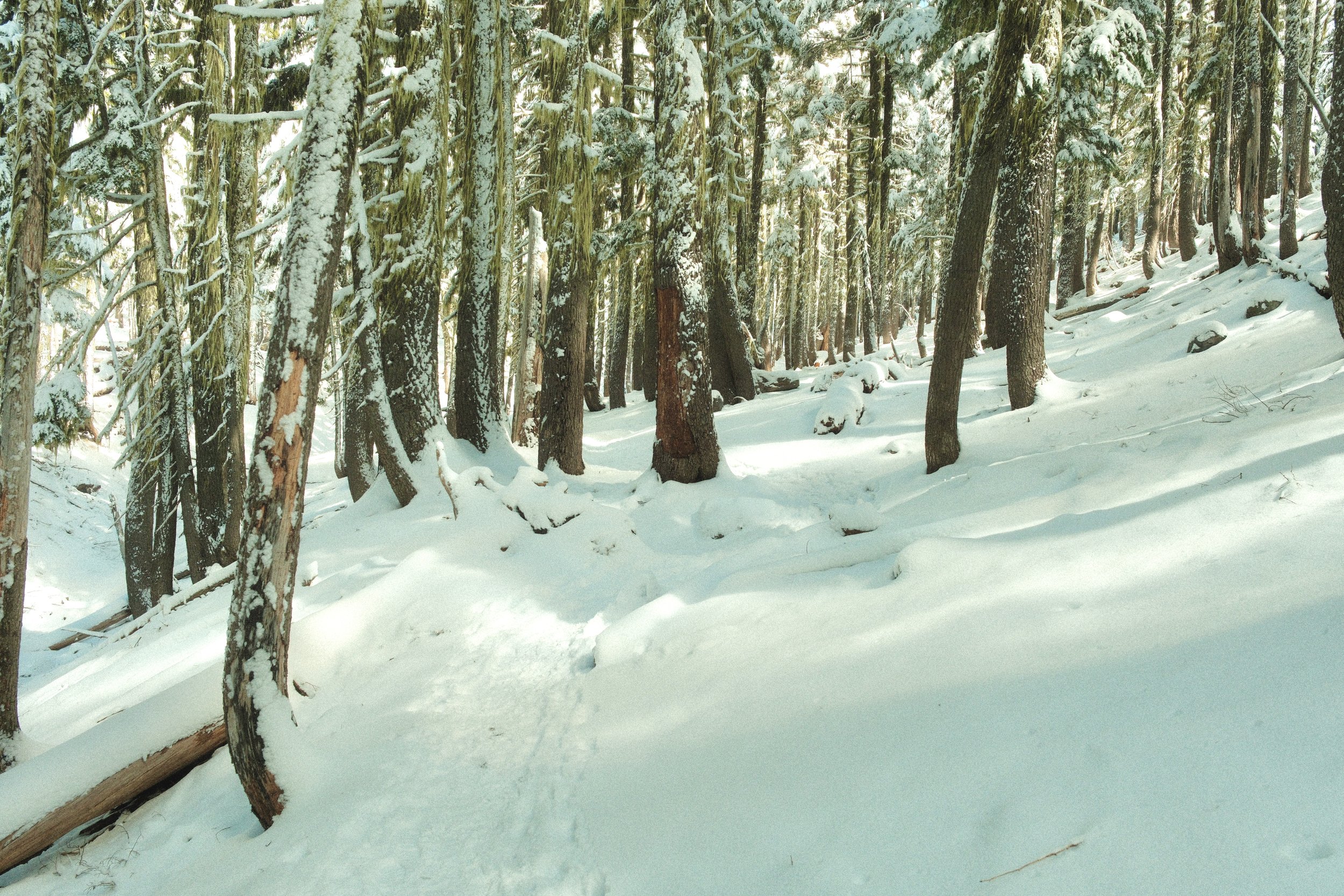 DSCF3517.JPG