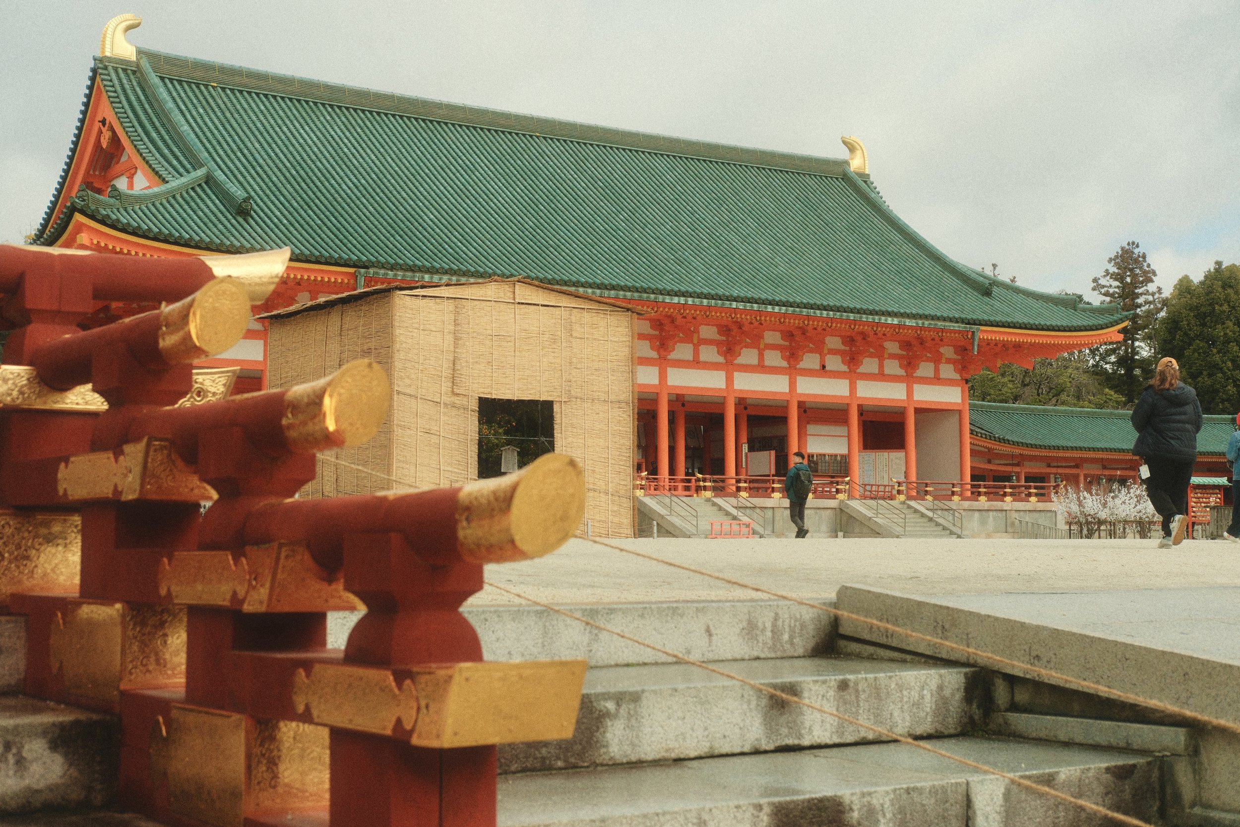 DSCF2243.JPG