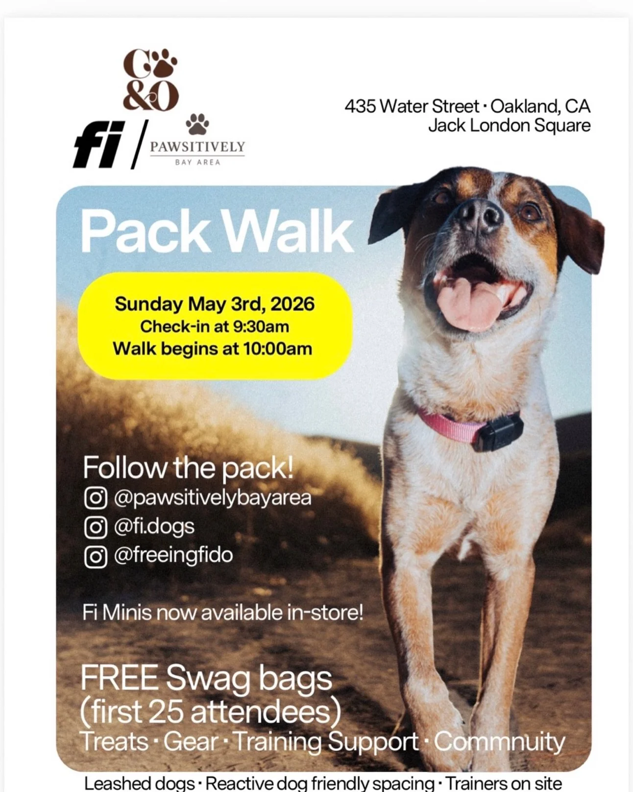 🐾✨ THE PACK IS CALLING AGAIN ✨🐾
The first one was so much fun we had to do it again &mdash; 
Join us for our Pack Walk on Sunday, May 3rd 2026 at Pawsitively Bay Area in Jack London Square!

📍 435 Water Street, Oakland, CA
🕤 Check-in at 9:30AM
🚶