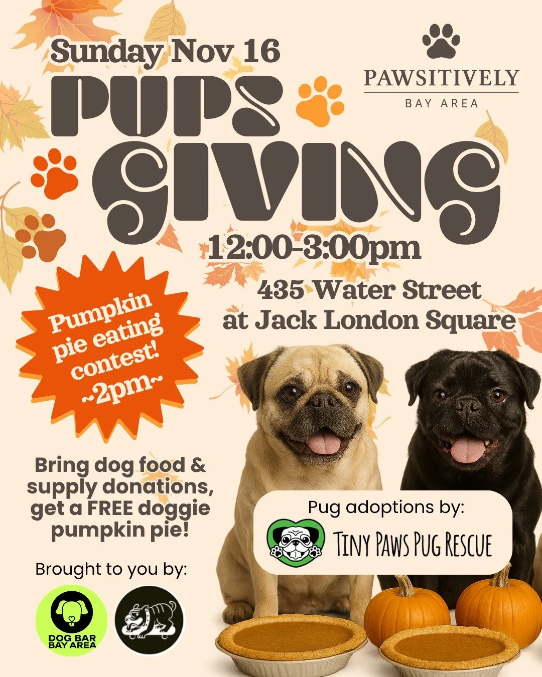 🍁 Thanksgiving season is the true season of giving, and we're here to spread the love featuring adoptable pugs from @tinypawspugrescue and a pet food &amp; supply drive at @pawsitivelybayarea Sunday Nov 16! 🐾

💓 From 12-3pm on Nov 16, bring a dona