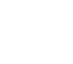 Close-up of a black and white logo with stylized lowercase letters 'f' and 'i'.
