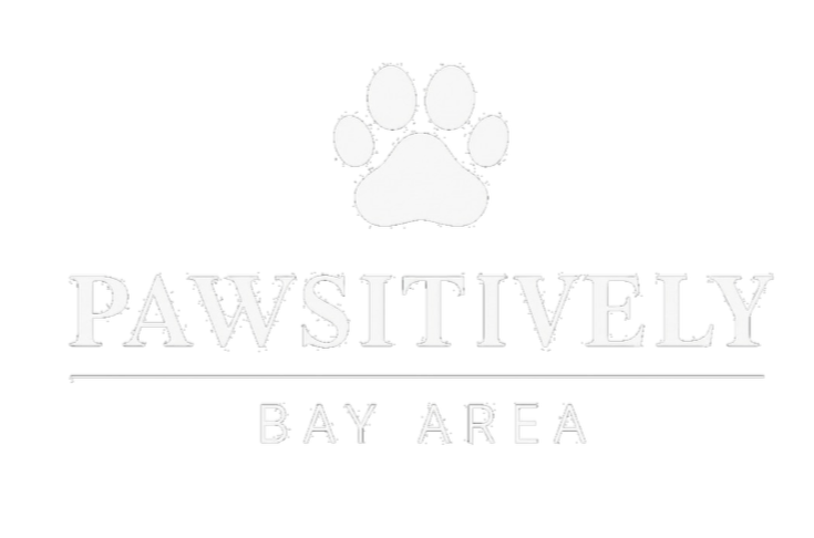 Logo for Pawsitively Bay Area with a white paw print above the text 'PAWSITIVELY' and 'BAY AREA' underneath, all on a black background.