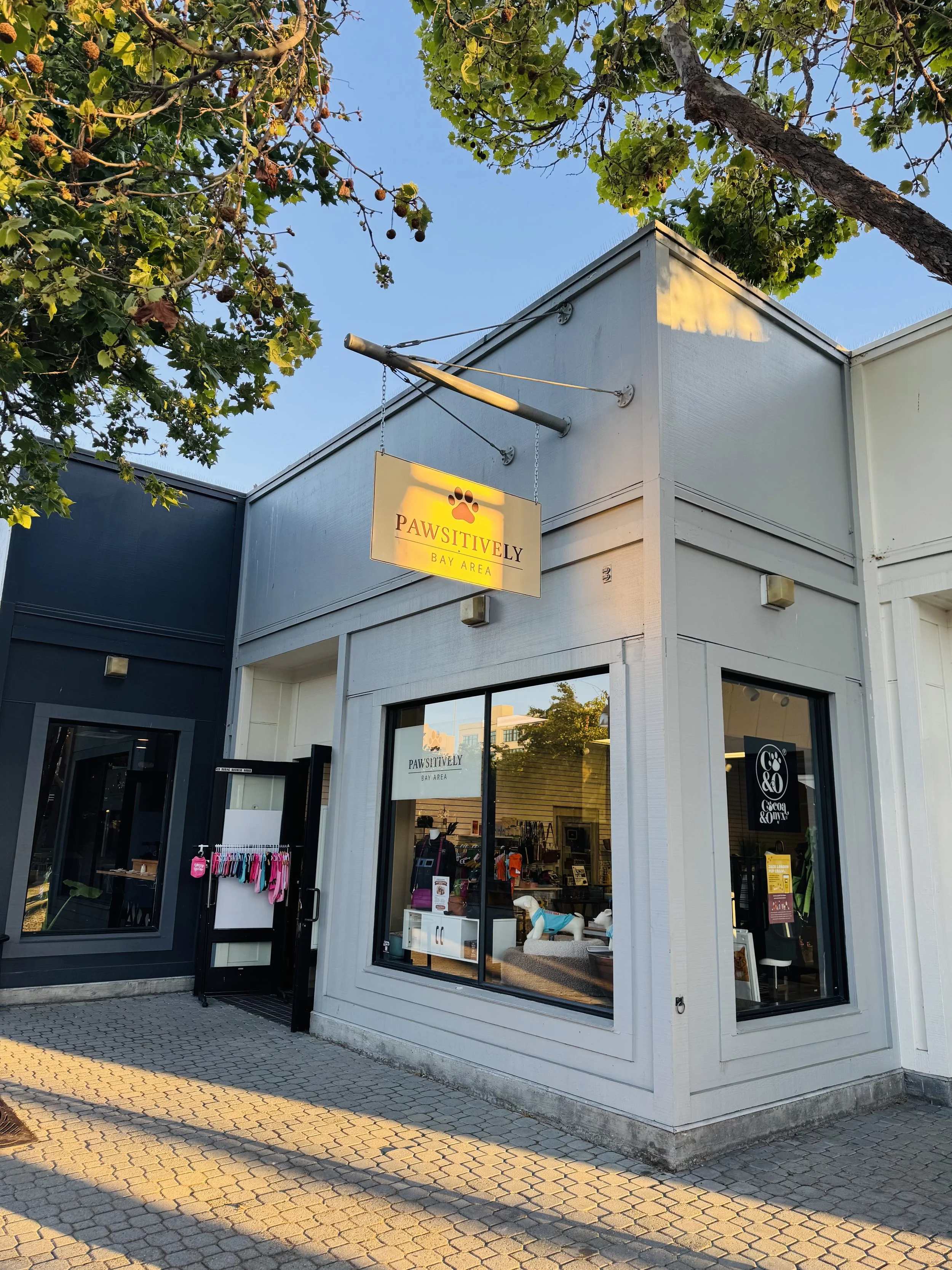 Exterior of a pet store called 'Pawsitively Bay Area' with large windows displaying pet products and pet toys, surrounded by trees and a paved sidewalk, during sunset.