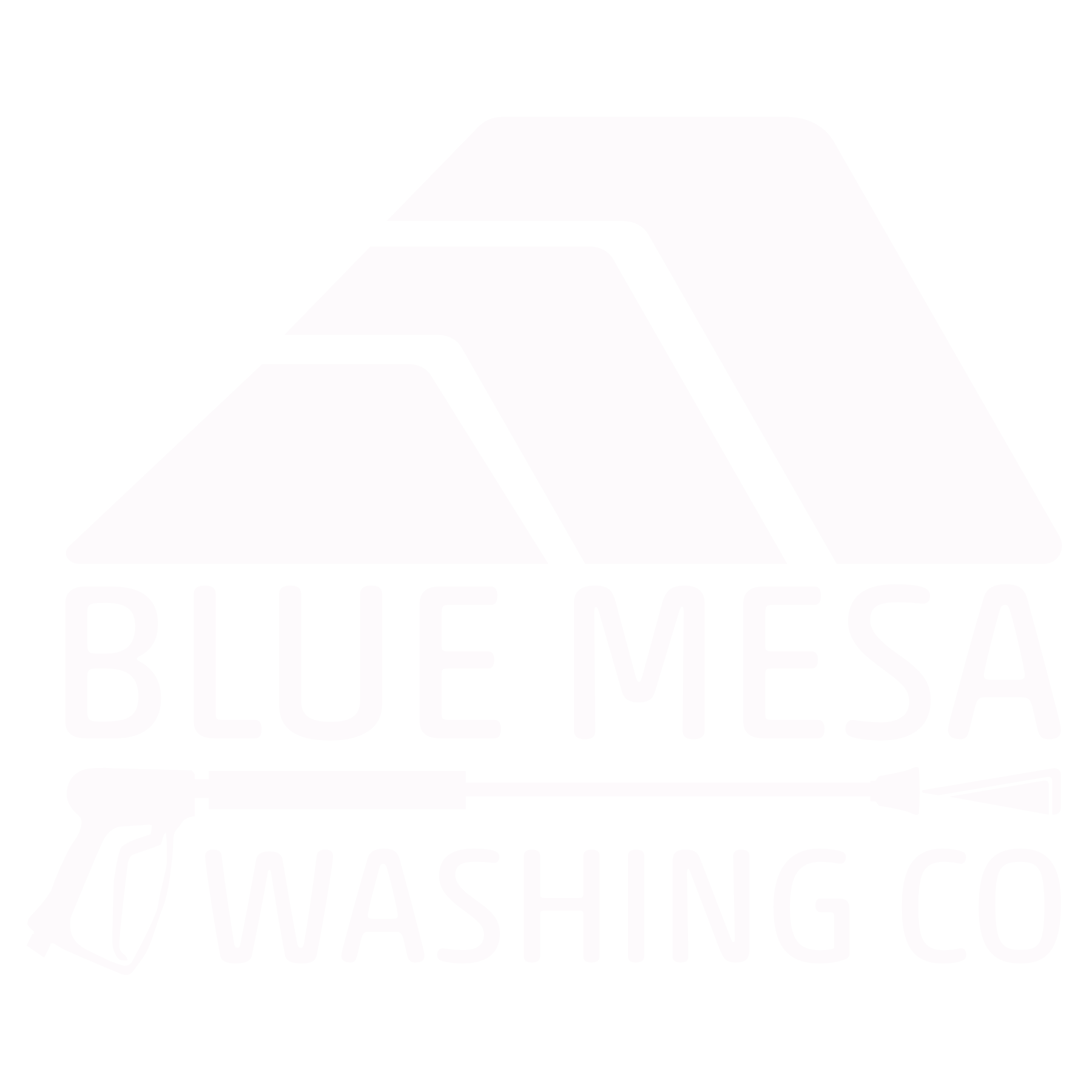 Logo for Blue Mesa Washing Co. featuring stylized mountains, a spray gun, and the company name.