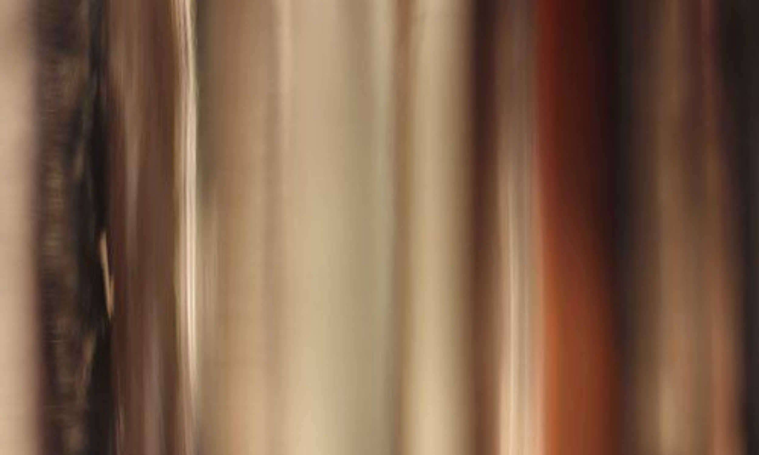 Blurred, vertical streaks of brown, black, beige, and reddish hues.