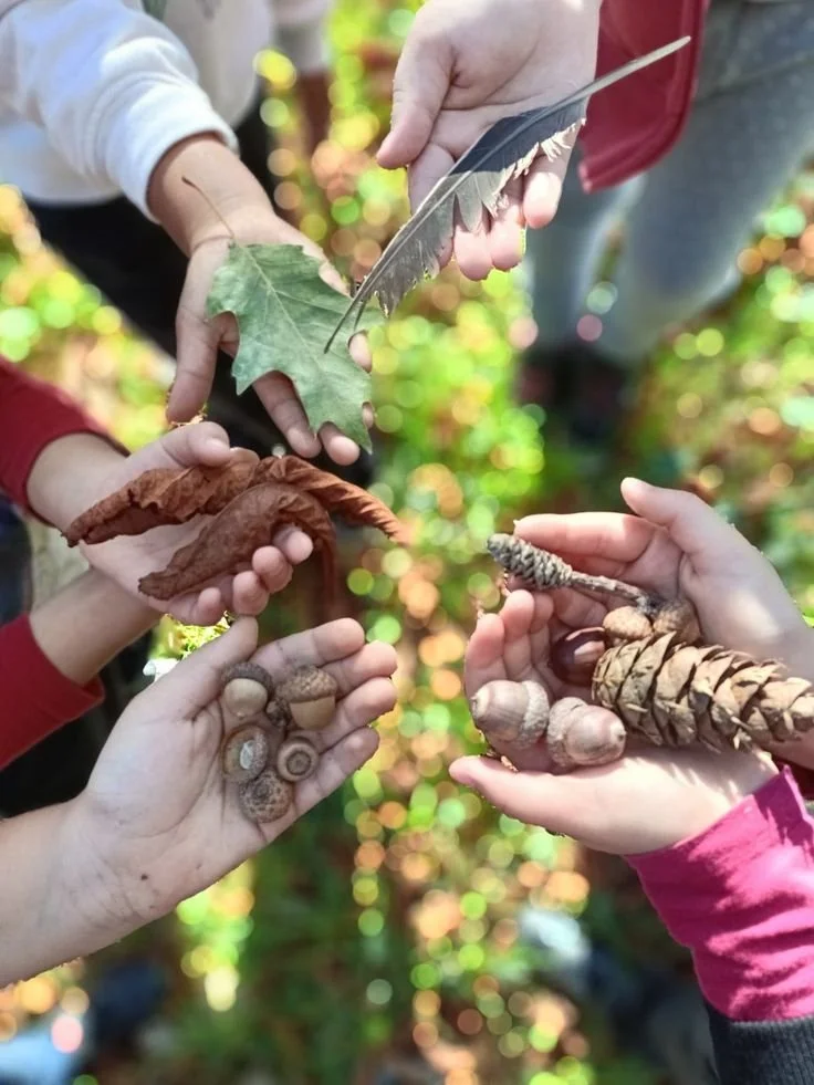 Group of children holding various autumn leaves, pinecones, acorns, and a feather in an outdoor setting.