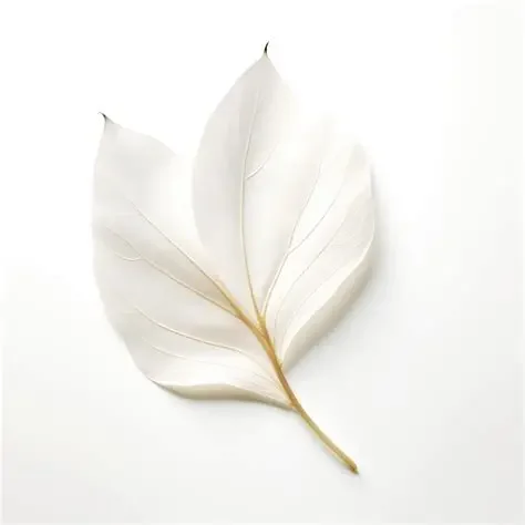 Weekly Mindful Moments