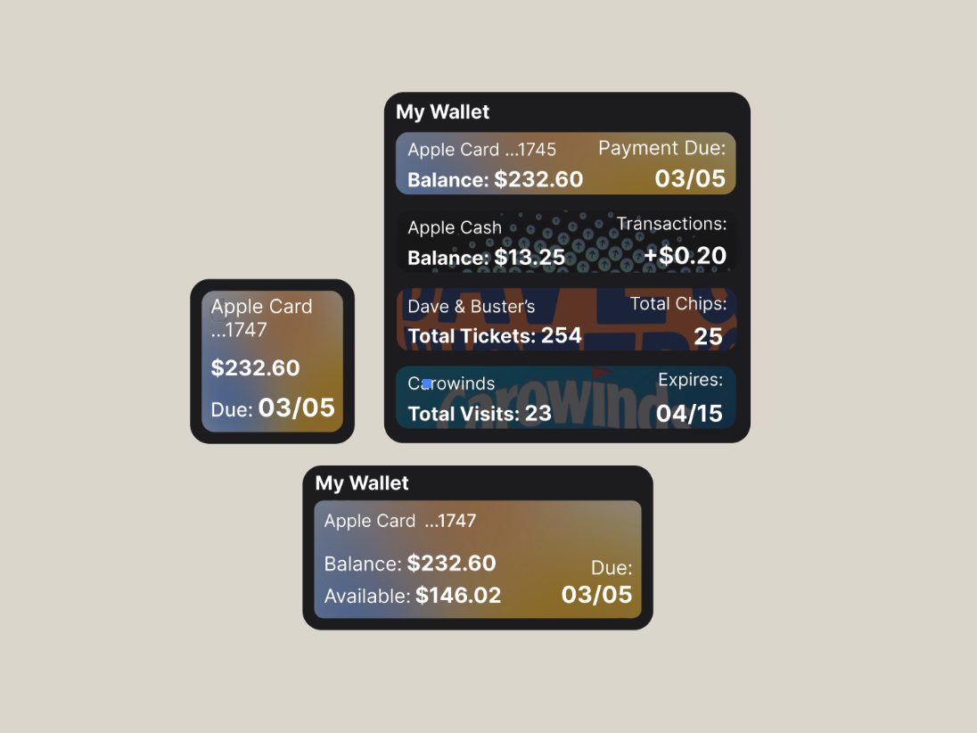 Screenshots of digital wallet interfaces displaying account balances, transactions, ticket counts, and expiration dates for a credit card, a cash account, and a crowd of visitors.