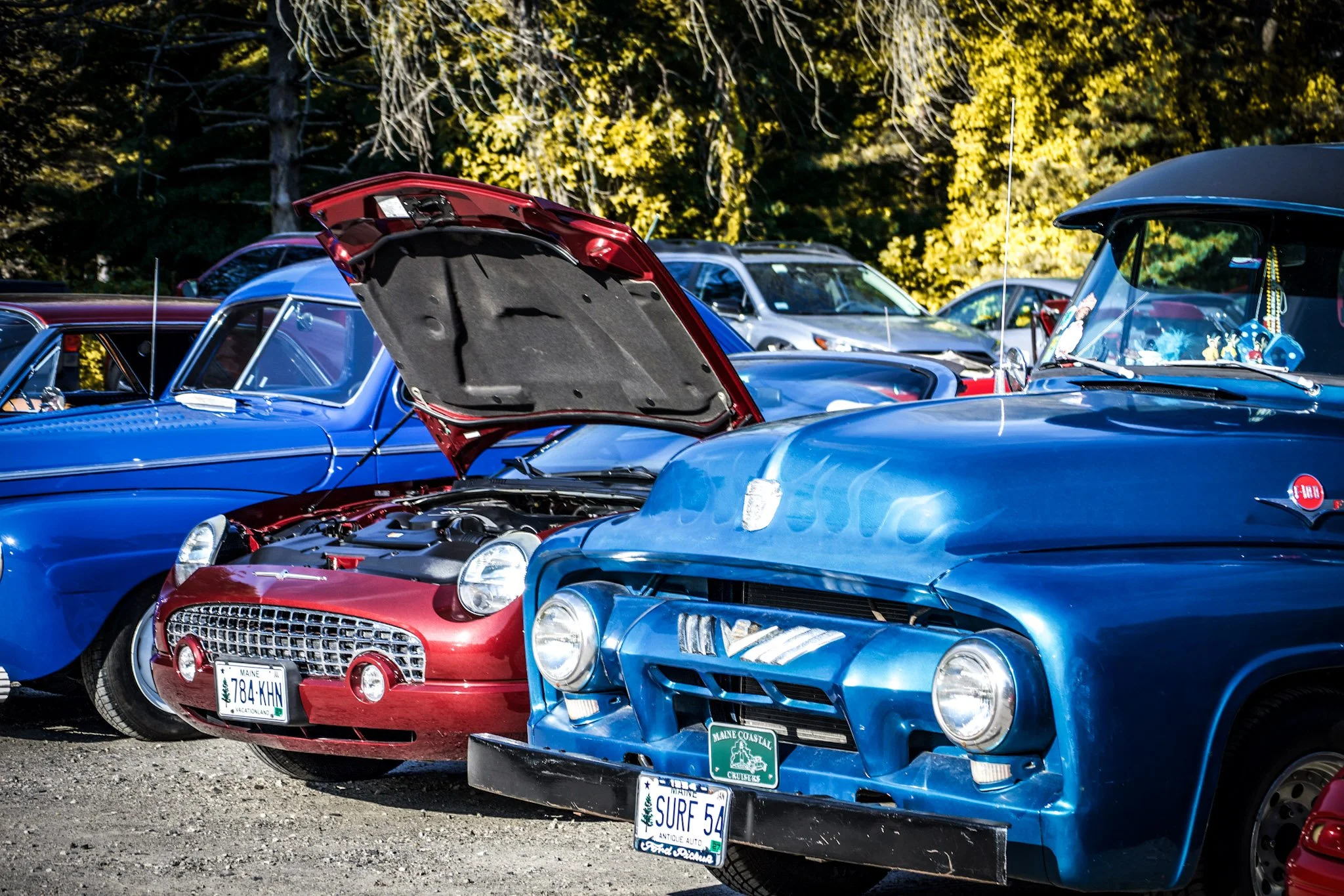 129-DSC_0001 2.jpg