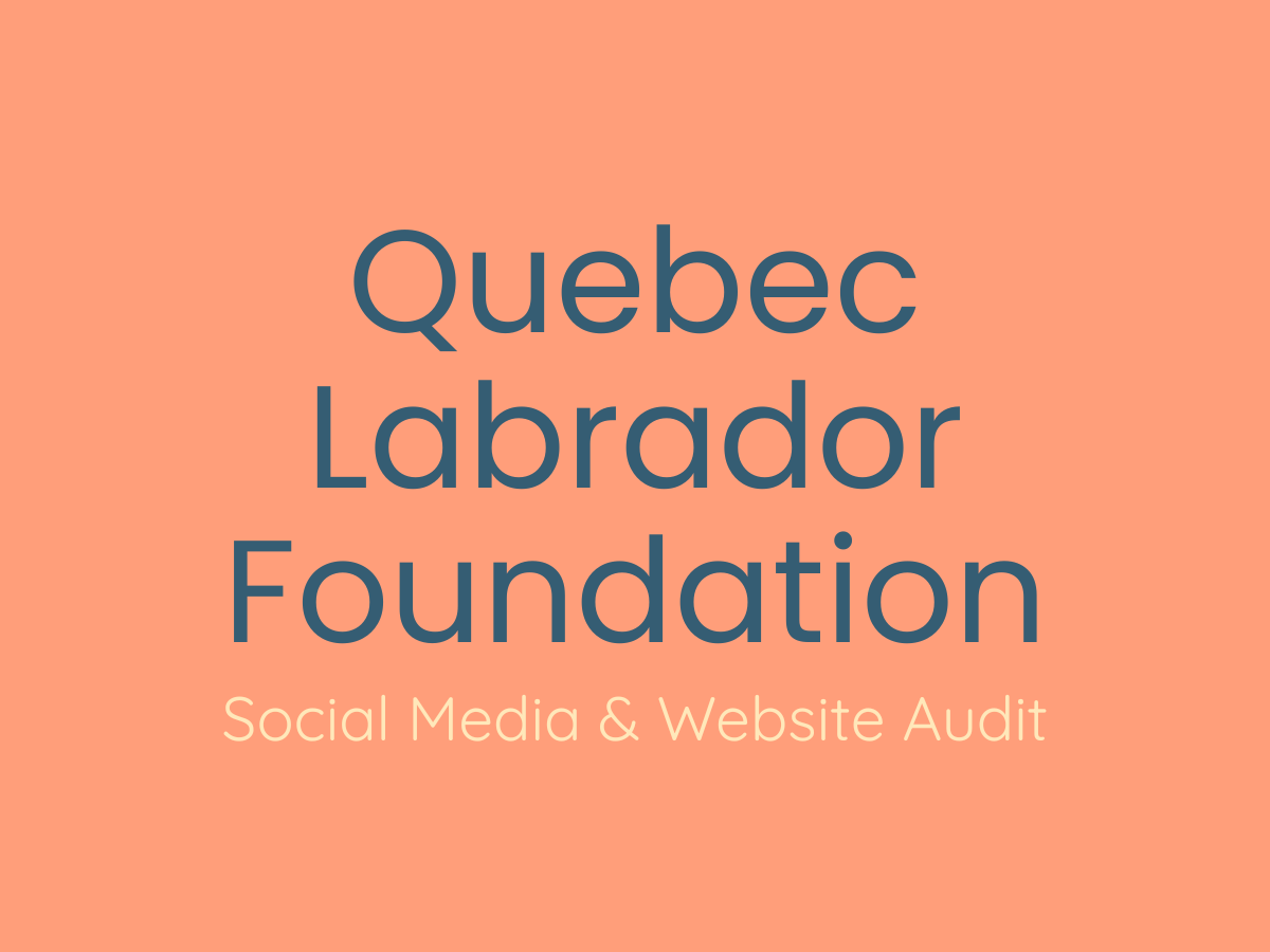 Title slide for Quebec Labrador Foundation Social Media & Website Audit presentation with orange background and blue and white text