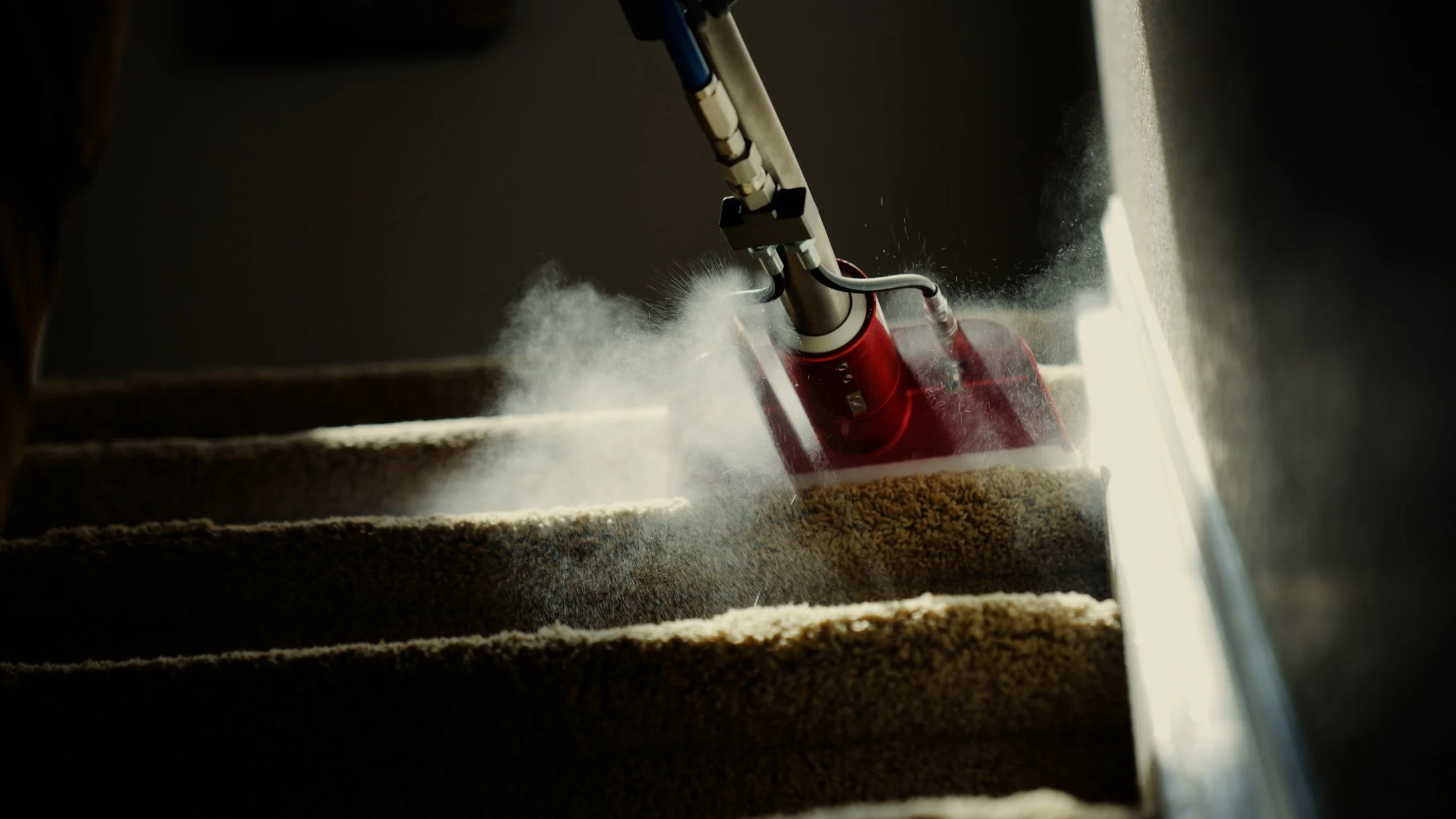 Ollie’s Cleaners
Service