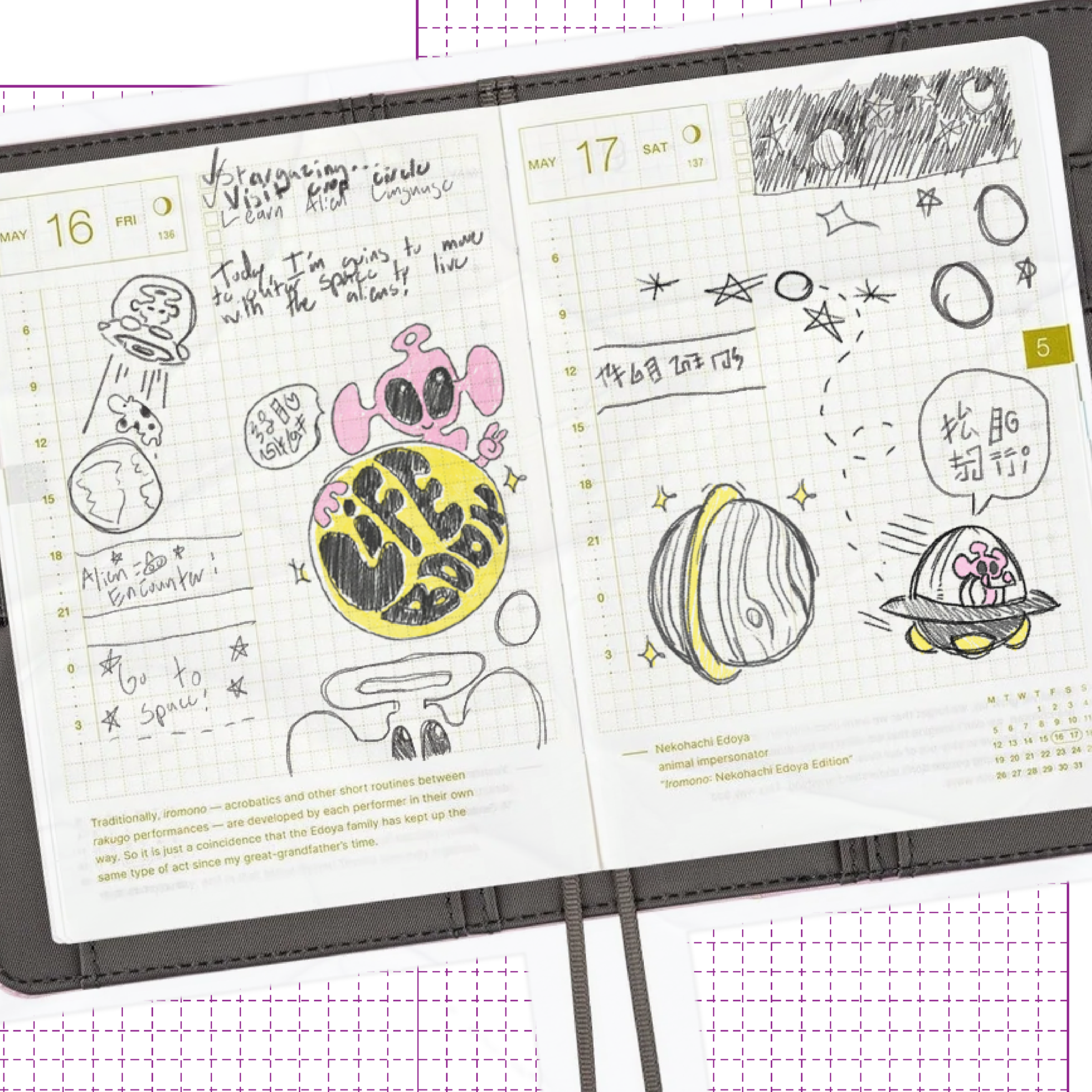 Hobonichi Techo