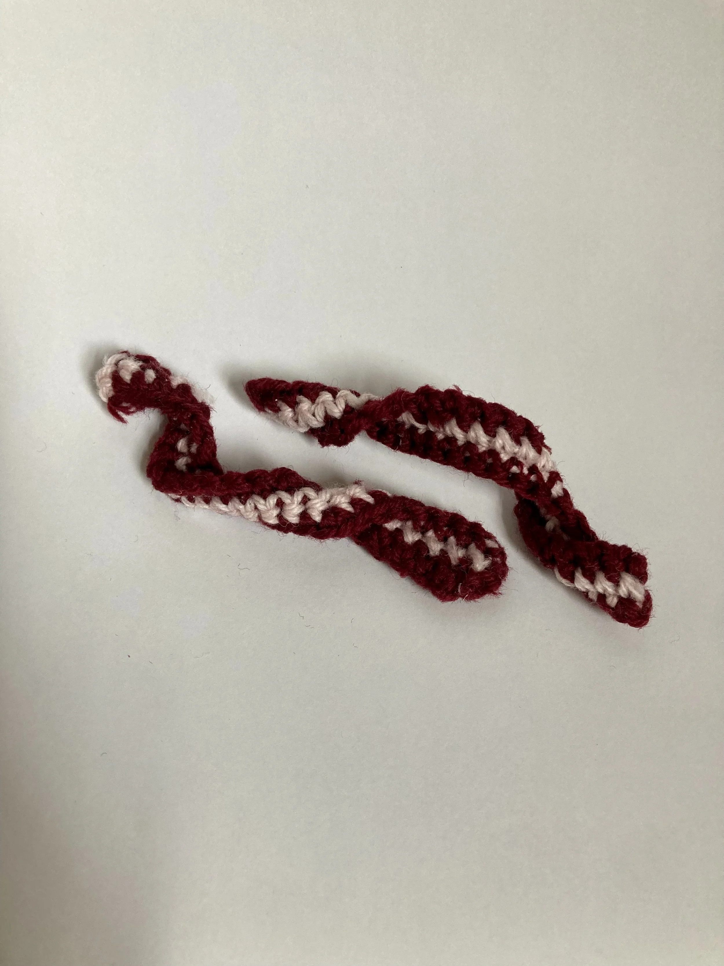 Pic 16 MT Bacon Crochet.jpg